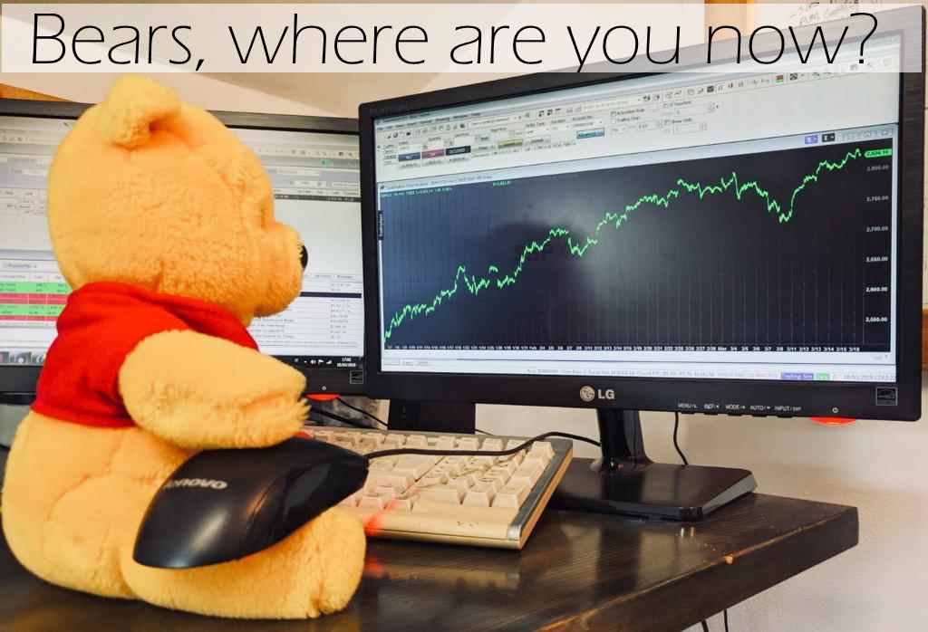bears, where are you?