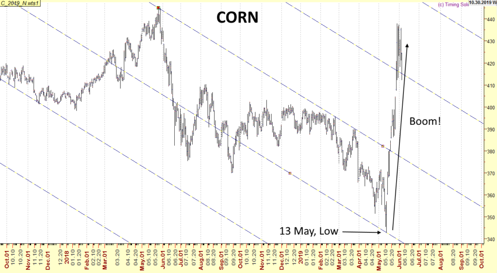 Corn 2019 May Uptrend