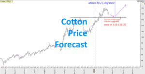 2022 Cotton Forecast