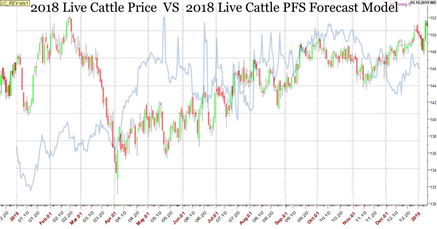 2024 Live Cattle Price Forecast and Strategy Bulletin I Am In Wall Street