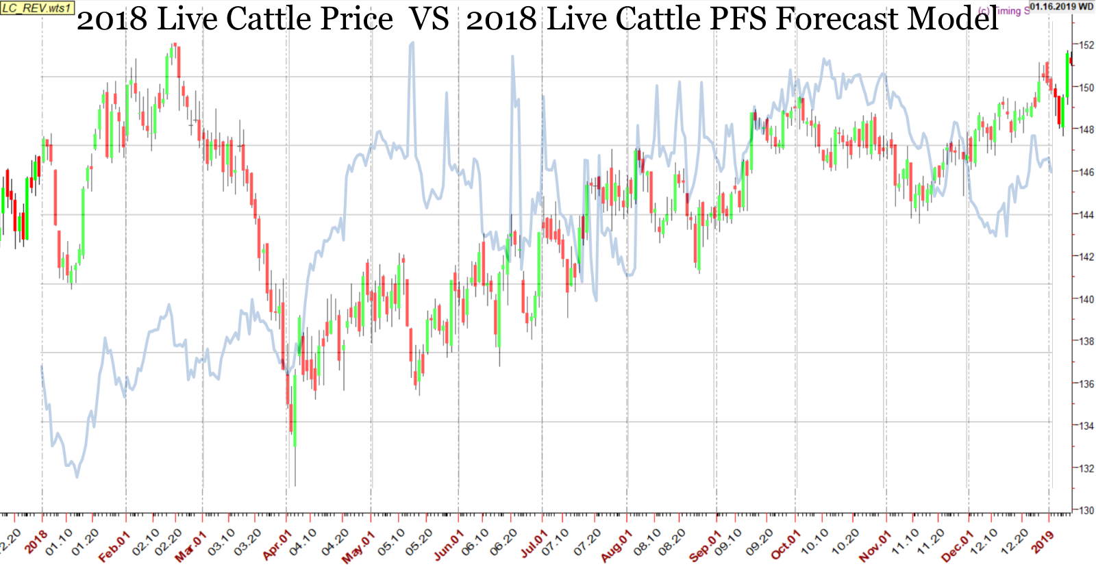 2024 Live Cattle Price Forecast and Strategy Bulletin I Am In Wall Street