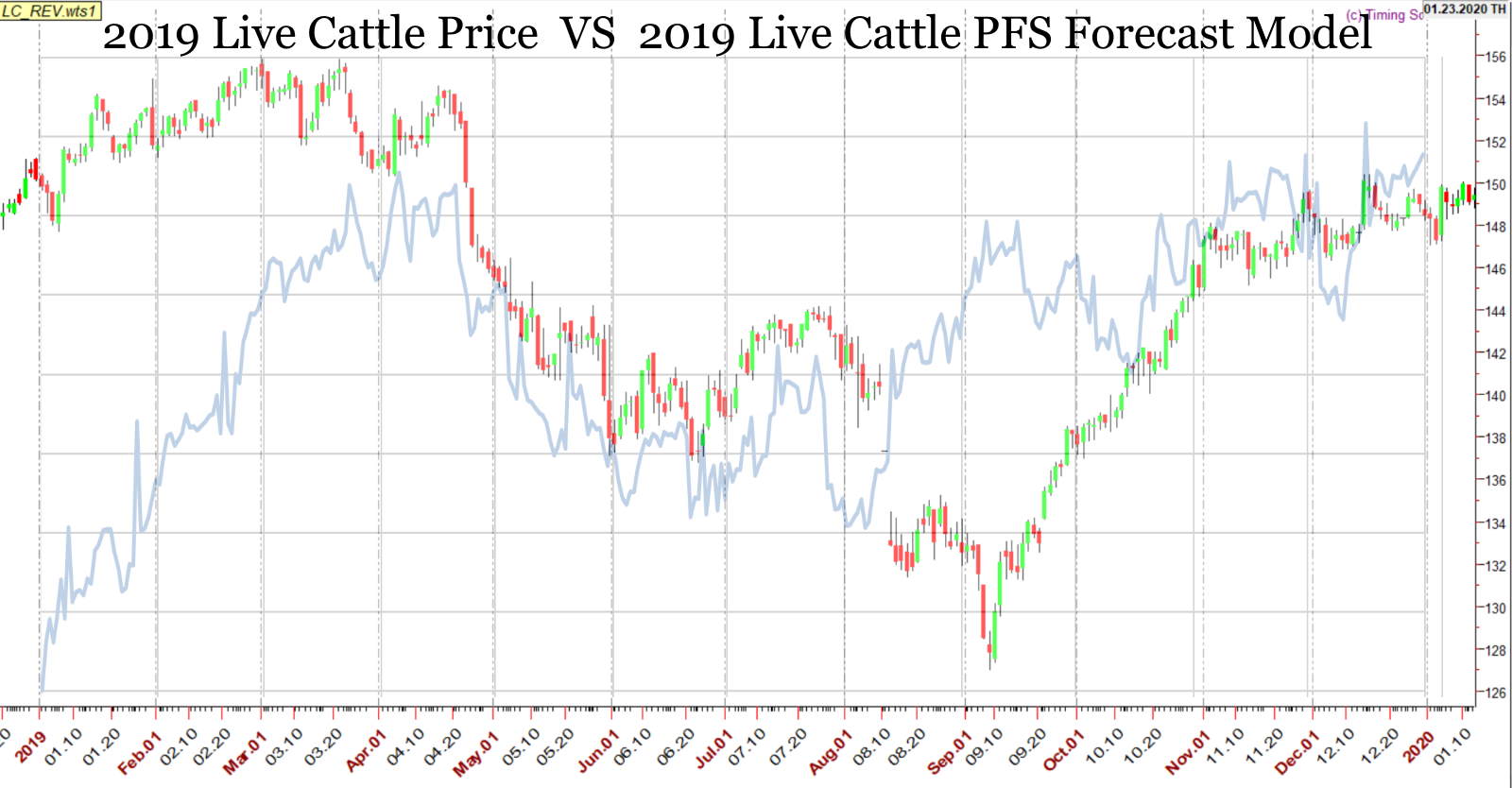 2024 Live Cattle Price Forecast and Strategy Bulletin I Am In Wall Street