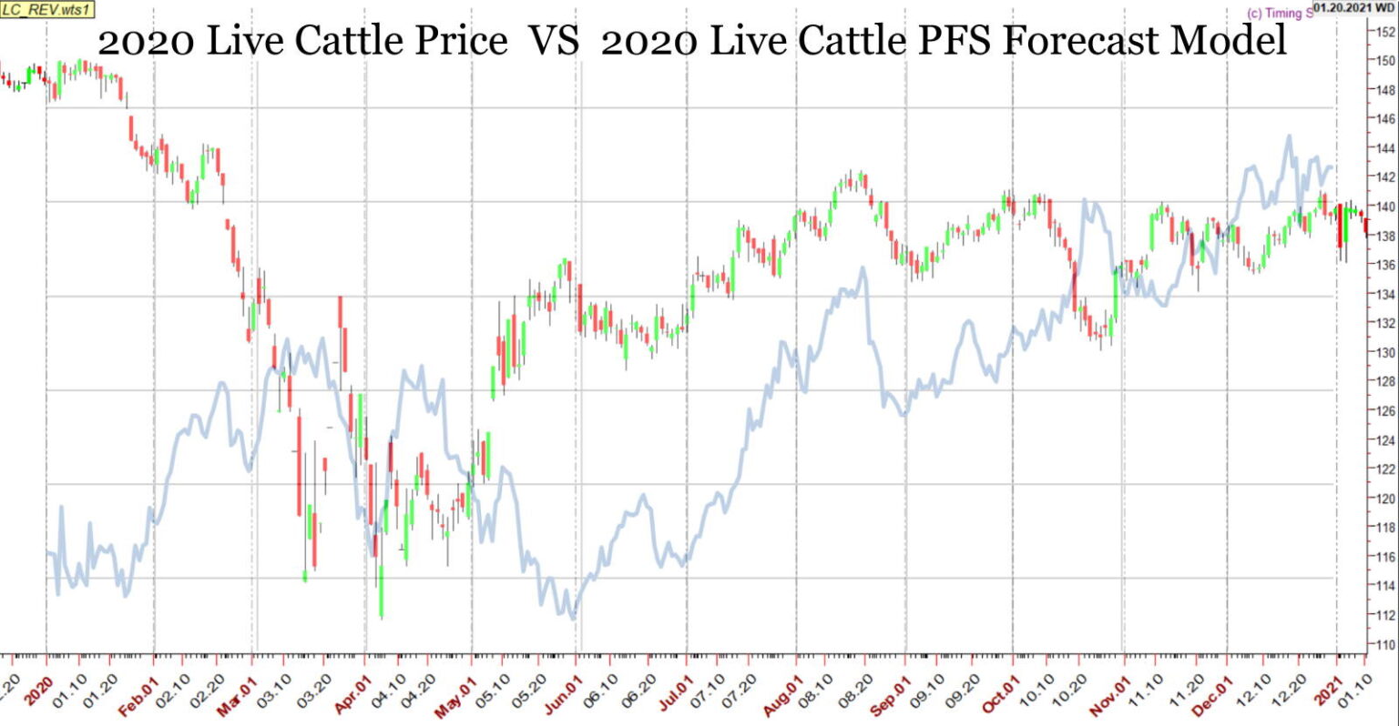 2024 Live Cattle Price Forecast and Strategy Bulletin I Am In Wall Street